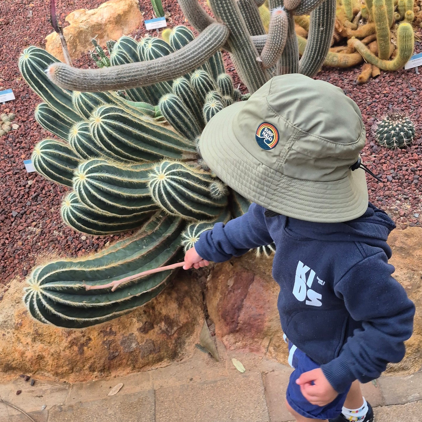 child wearing wide brim sun hat playing with cactus